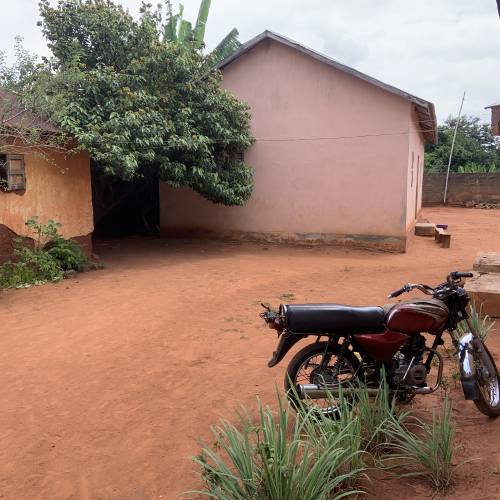 Frame 5 circuit sur mesure amazone cotonou dahomey track benin tourisme agence de voyage
