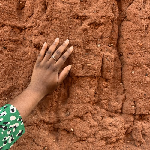 ecotourisme benin dahomey track agence de tourisme au benin