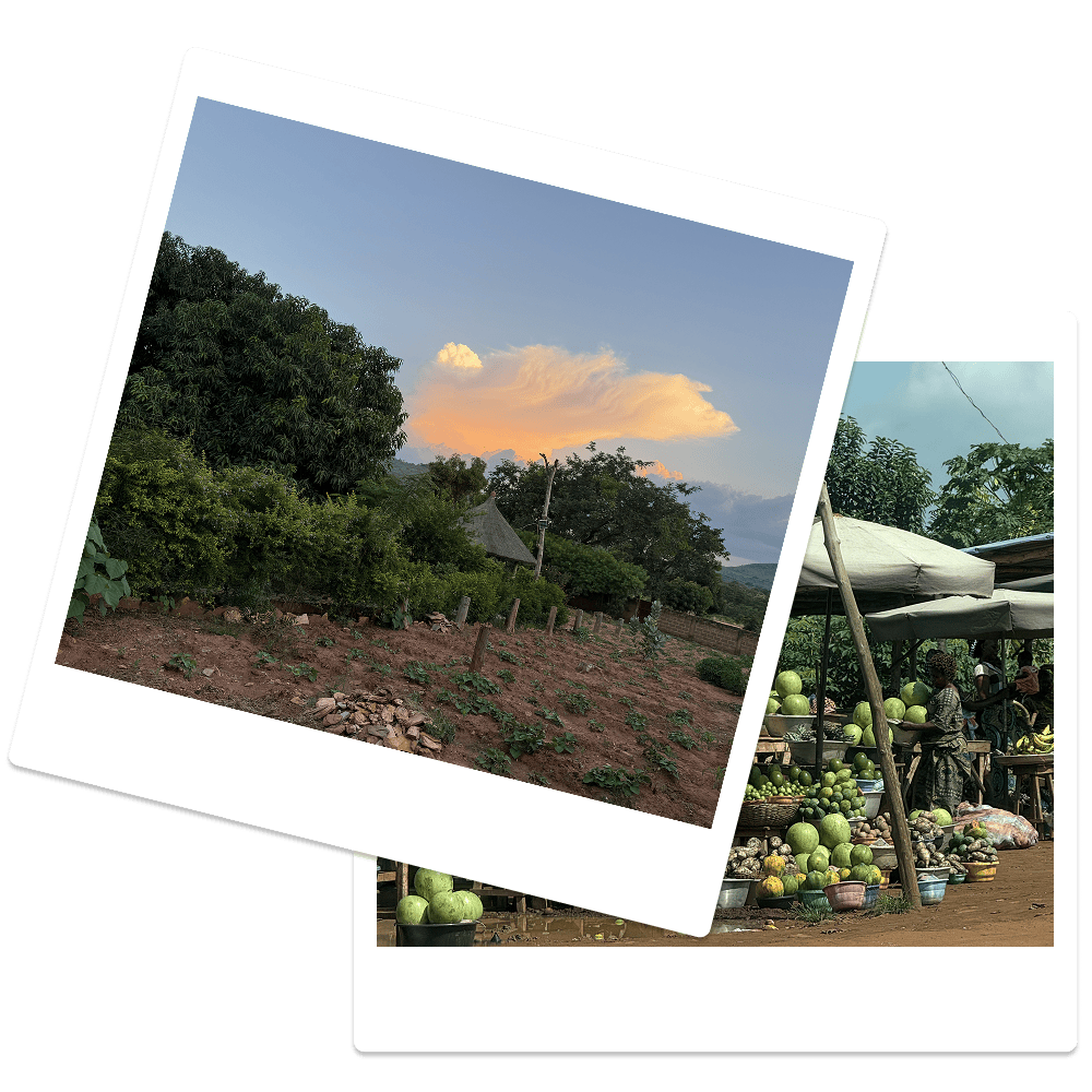 circuit touristique sur mesure guide local benin dahomey track benin tourisme agence de voyage circuit touristique sur mesure guide local benin dahomey track benin tourisme agence de voyage